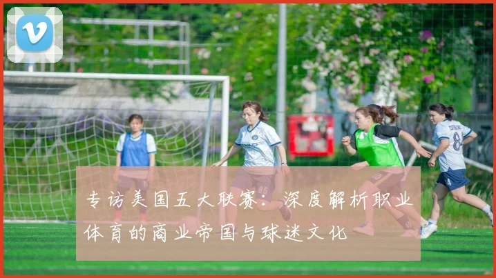专访美国五大联赛：深度解析职业体育的商业帝国与球迷文化