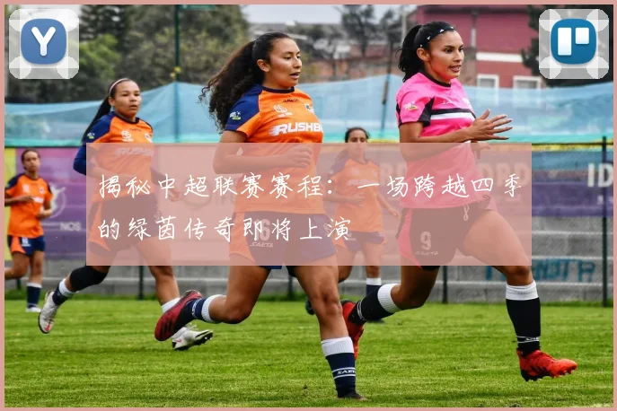 揭秘中超联赛赛程：一场跨越四季的绿茵传奇即将上演